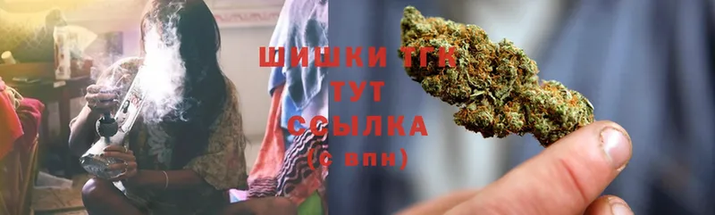 ссылка на мегу сайт  Карачев  площадка Telegram  Каннабис SATIVA & INDICA 